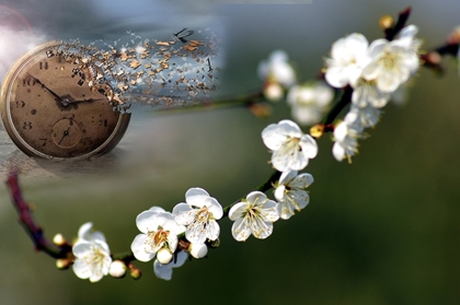 Hiểu đúng và đủ về vô thường